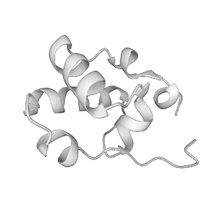 21852_6wmt_L_v2-1
F. tularensis RNAPs70-(MglA-SspA)-ppGpp-PigR-iglA DNA complex