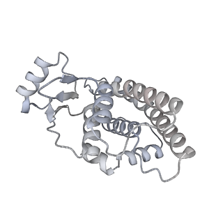 21852_6wmt_M_v1-2
F. tularensis RNAPs70-(MglA-SspA)-ppGpp-PigR-iglA DNA complex