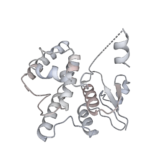 21852_6wmt_S_v1-2
F. tularensis RNAPs70-(MglA-SspA)-ppGpp-PigR-iglA DNA complex