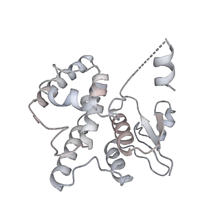 21852_6wmt_S_v2-1
F. tularensis RNAPs70-(MglA-SspA)-ppGpp-PigR-iglA DNA complex