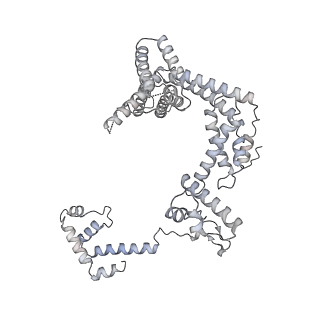 21852_6wmt_Z_v1-2
F. tularensis RNAPs70-(MglA-SspA)-ppGpp-PigR-iglA DNA complex