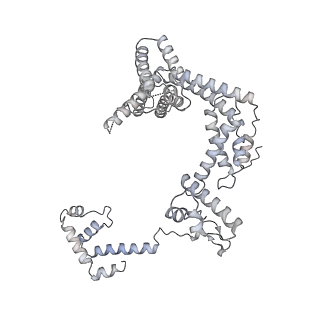 21852_6wmt_Z_v2-1
F. tularensis RNAPs70-(MglA-SspA)-ppGpp-PigR-iglA DNA complex