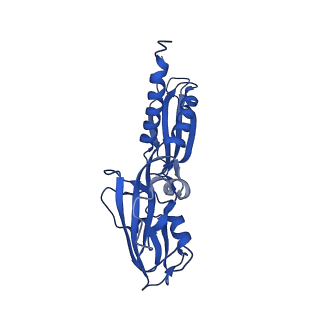 21853_6wmu_A_v1-2
E. coli RNAPs70-SspA-gadA DNA complex