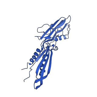 21853_6wmu_B_v1-2
E. coli RNAPs70-SspA-gadA DNA complex