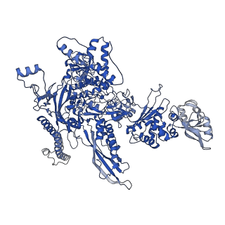 21853_6wmu_C_v1-2
E. coli RNAPs70-SspA-gadA DNA complex