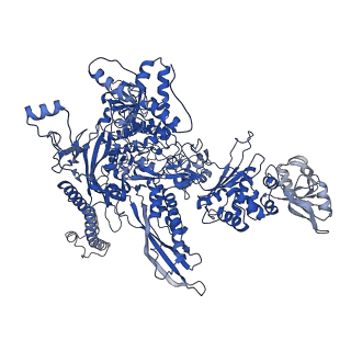 21853_6wmu_C_v1-3
E. coli RNAPs70-SspA-gadA DNA complex