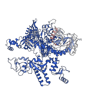 21853_6wmu_D_v1-2
E. coli RNAPs70-SspA-gadA DNA complex