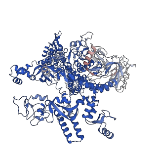 21853_6wmu_D_v1-3
E. coli RNAPs70-SspA-gadA DNA complex