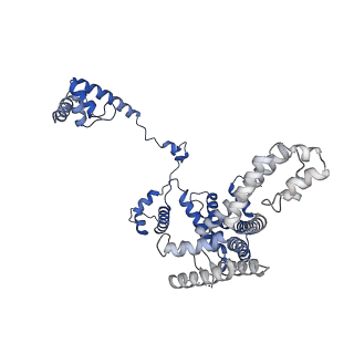 21853_6wmu_F_v1-2
E. coli RNAPs70-SspA-gadA DNA complex