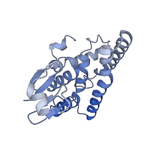 21853_6wmu_K_v1-2
E. coli RNAPs70-SspA-gadA DNA complex
