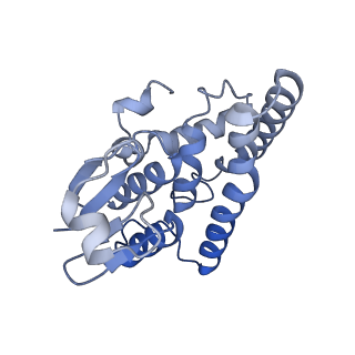 21853_6wmu_K_v1-3
E. coli RNAPs70-SspA-gadA DNA complex