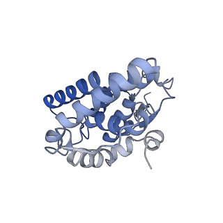 21853_6wmu_L_v1-3
E. coli RNAPs70-SspA-gadA DNA complex