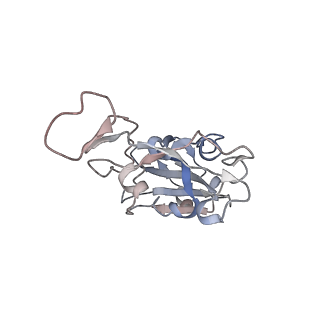 32596_7wm0_B_v1-0
Cryo-EM structure of the Omicron RBD in complex with 35B5 Fab( local refinement of the RBD and 35B5 Fab)