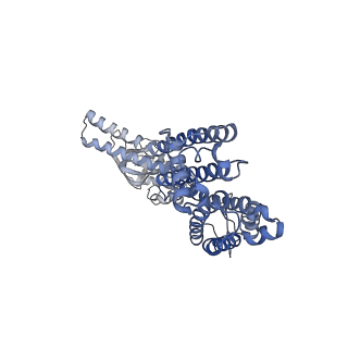 32598_7wm2_B_v1-0
Cryo-EM structure of AKT1