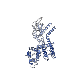 32598_7wm2_C_v1-0
Cryo-EM structure of AKT1