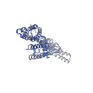 32598_7wm2_D_v1-0
Cryo-EM structure of AKT1