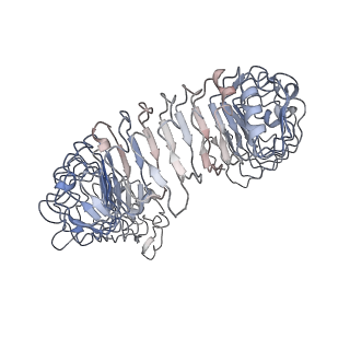 32599_7wm4_C_v1-1
Cryo-EM structure of tetrameric TLR3 in complex with dsRNA (90 bp)