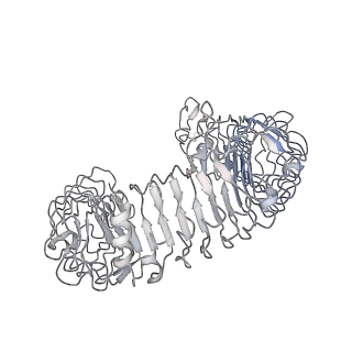 32599_7wm4_D_v1-1
Cryo-EM structure of tetrameric TLR3 in complex with dsRNA (90 bp)