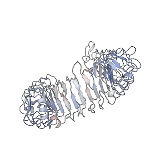 32599_7wm4_E_v1-1
Cryo-EM structure of tetrameric TLR3 in complex with dsRNA (90 bp)