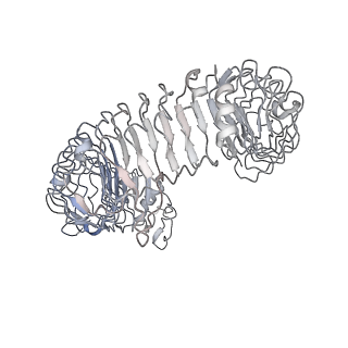 32599_7wm4_F_v1-1
Cryo-EM structure of tetrameric TLR3 in complex with dsRNA (90 bp)