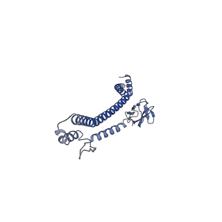 32616_7wmp_B_v1-0
Tail structure of Helicobacter pylori bacteriophage KHP30