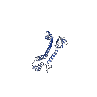 32616_7wmp_C_v1-0
Tail structure of Helicobacter pylori bacteriophage KHP30