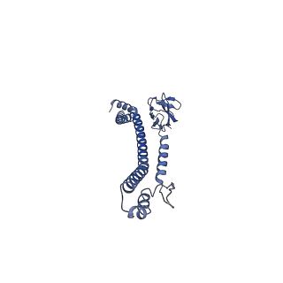 32616_7wmp_D_v1-0
Tail structure of Helicobacter pylori bacteriophage KHP30