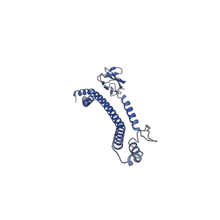 32616_7wmp_E_v1-0
Tail structure of Helicobacter pylori bacteriophage KHP30