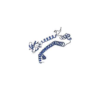 32616_7wmp_H_v1-0
Tail structure of Helicobacter pylori bacteriophage KHP30