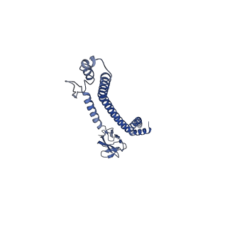 32616_7wmp_K_v1-0
Tail structure of Helicobacter pylori bacteriophage KHP30