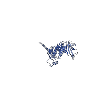 32616_7wmp_a_v1-0
Tail structure of Helicobacter pylori bacteriophage KHP30
