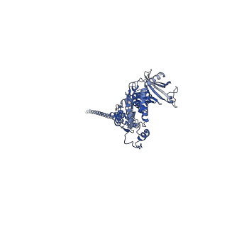 32616_7wmp_b_v1-0
Tail structure of Helicobacter pylori bacteriophage KHP30