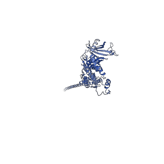 32616_7wmp_c_v1-0
Tail structure of Helicobacter pylori bacteriophage KHP30