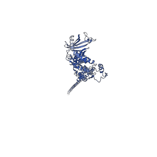 32616_7wmp_d_v1-0
Tail structure of Helicobacter pylori bacteriophage KHP30