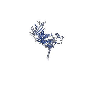 32616_7wmp_e_v1-0
Tail structure of Helicobacter pylori bacteriophage KHP30