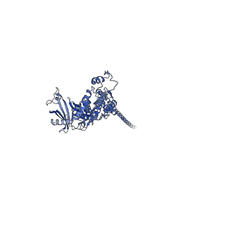 32616_7wmp_g_v1-0
Tail structure of Helicobacter pylori bacteriophage KHP30