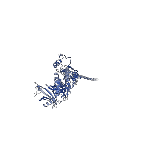32616_7wmp_h_v1-0
Tail structure of Helicobacter pylori bacteriophage KHP30