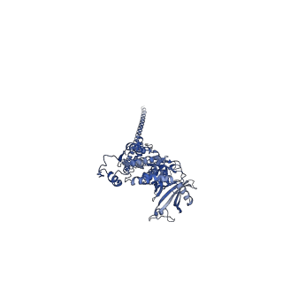 32616_7wmp_k_v1-0
Tail structure of Helicobacter pylori bacteriophage KHP30