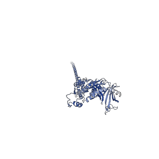 32616_7wmp_l_v1-0
Tail structure of Helicobacter pylori bacteriophage KHP30