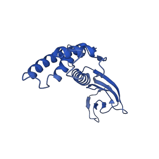 32616_7wmp_n_v1-0
Tail structure of Helicobacter pylori bacteriophage KHP30
