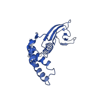 32616_7wmp_q_v1-0
Tail structure of Helicobacter pylori bacteriophage KHP30