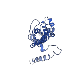 37644_8wm7_A_v1-1
Cryo-EM structure of cyanobacterial nitrate/nitrite transporter NrtBCD in complex with signalling protein PII