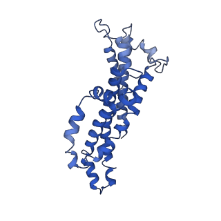 37644_8wm7_B_v1-1
Cryo-EM structure of cyanobacterial nitrate/nitrite transporter NrtBCD in complex with signalling protein PII