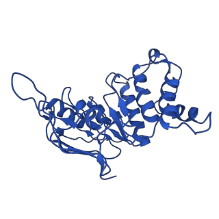 37644_8wm7_D_v1-1
Cryo-EM structure of cyanobacterial nitrate/nitrite transporter NrtBCD in complex with signalling protein PII