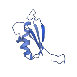 37644_8wm7_F_v1-1
Cryo-EM structure of cyanobacterial nitrate/nitrite transporter NrtBCD in complex with signalling protein PII