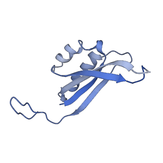 37644_8wm7_G_v1-1
Cryo-EM structure of cyanobacterial nitrate/nitrite transporter NrtBCD in complex with signalling protein PII