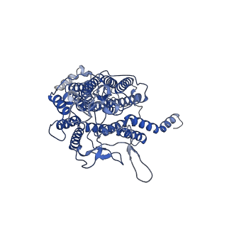 37658_8wmq_B_v1-1
trans-Zeatin bound state of Arabidopsis AZG1 at pH5.5