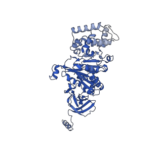 21854_6wnq_B_v1-2
E. coli ATP Synthase State 2a