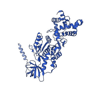 21854_6wnq_C_v1-2
E. coli ATP Synthase State 2a