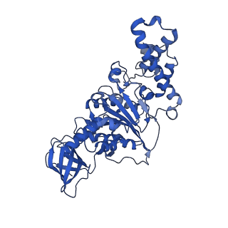 21854_6wnq_D_v1-3
E. coli ATP Synthase State 2a